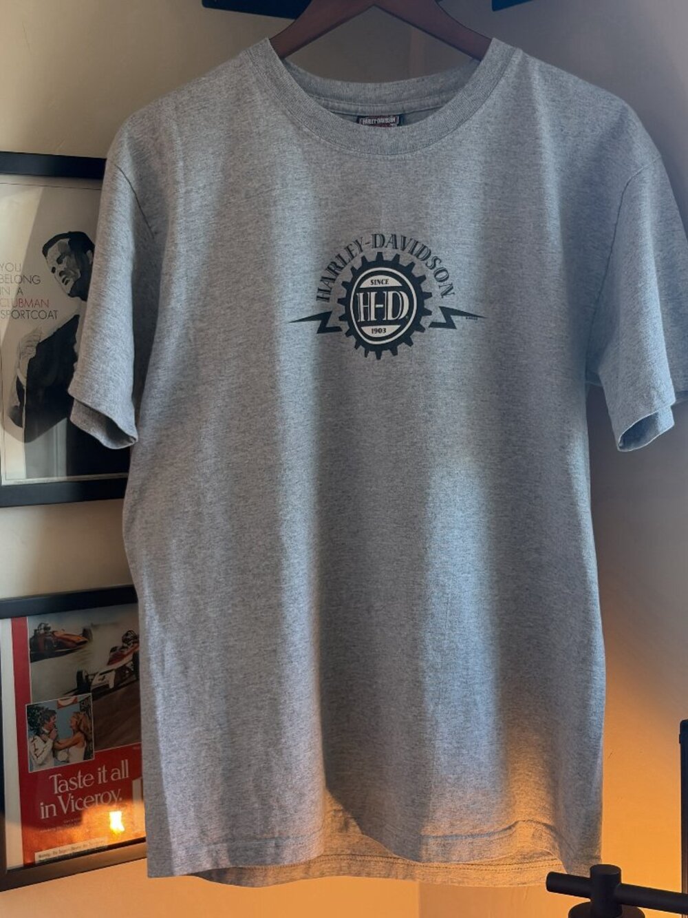Harley-Davidson Graphic T-Shirt Grey Men's M
